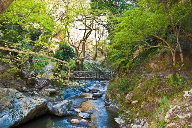 Γεωργίτσι - Λακωνίας